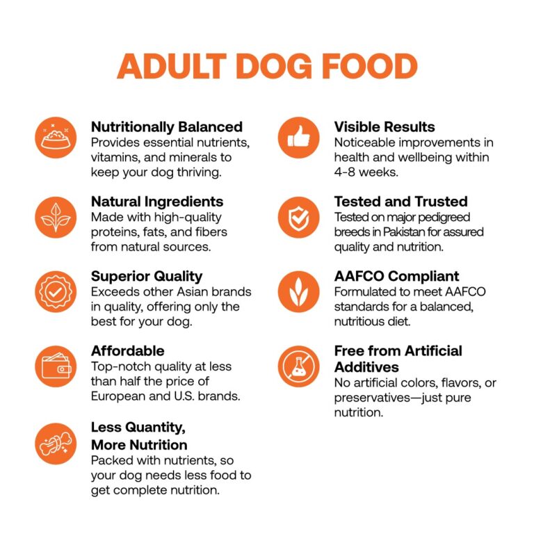 WhatsApp Image 2024-11-19 at 19.22.05_a9a12402