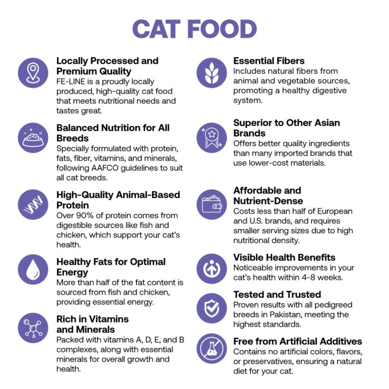 WhatsApp Image 2024-11-19 at 19.22.06_b3e6bfb1